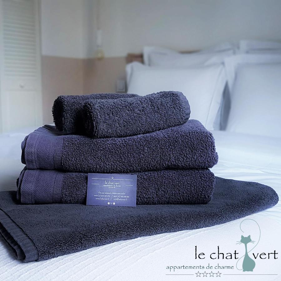 Le Chat Vert - Appartements Adults Only Saint-André Екстериор снимка